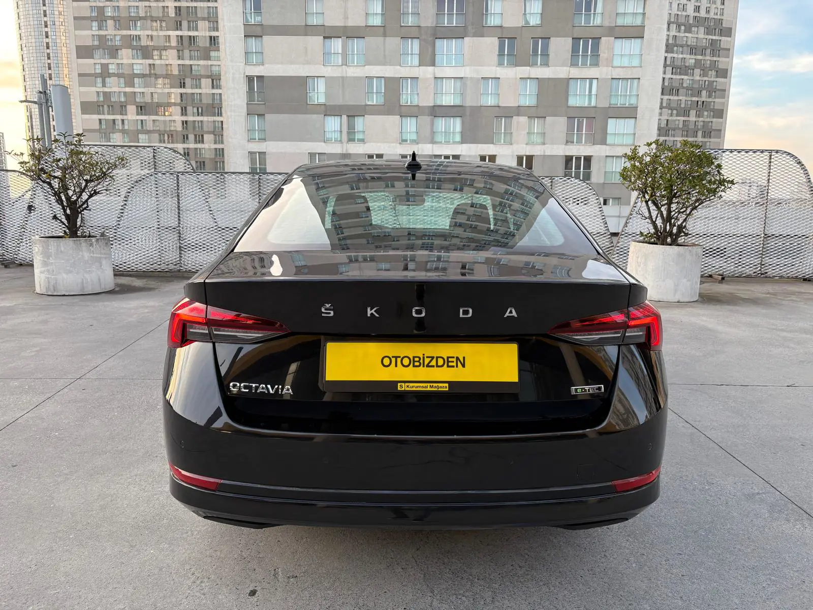 Skoda + Octavia
